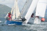 scintilla of the sea 920y scintilla of the sea 920y whyw16 thur 800 4696w